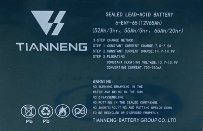 Аккумулятор свинцово-кислотный герм. (GEL) 12В/65Ач  223х135х177 для тележек WPT15-2