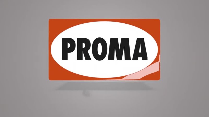 Комплект стамесок Proma HDB-45 (8шт) - изображение